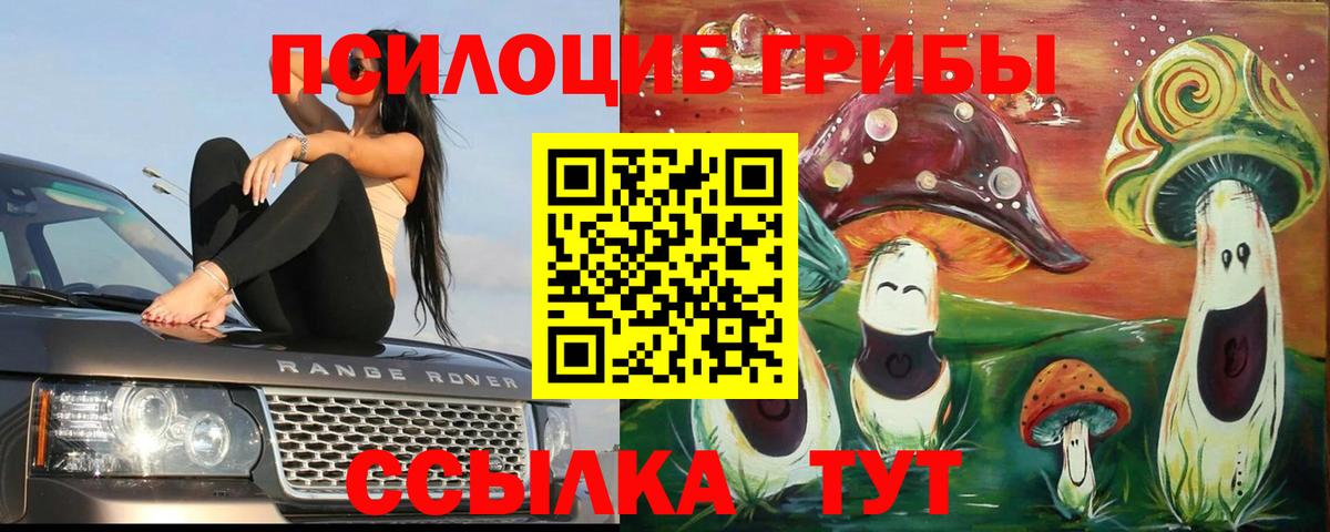 Галлюциногенные грибы ЛСД Кыштым