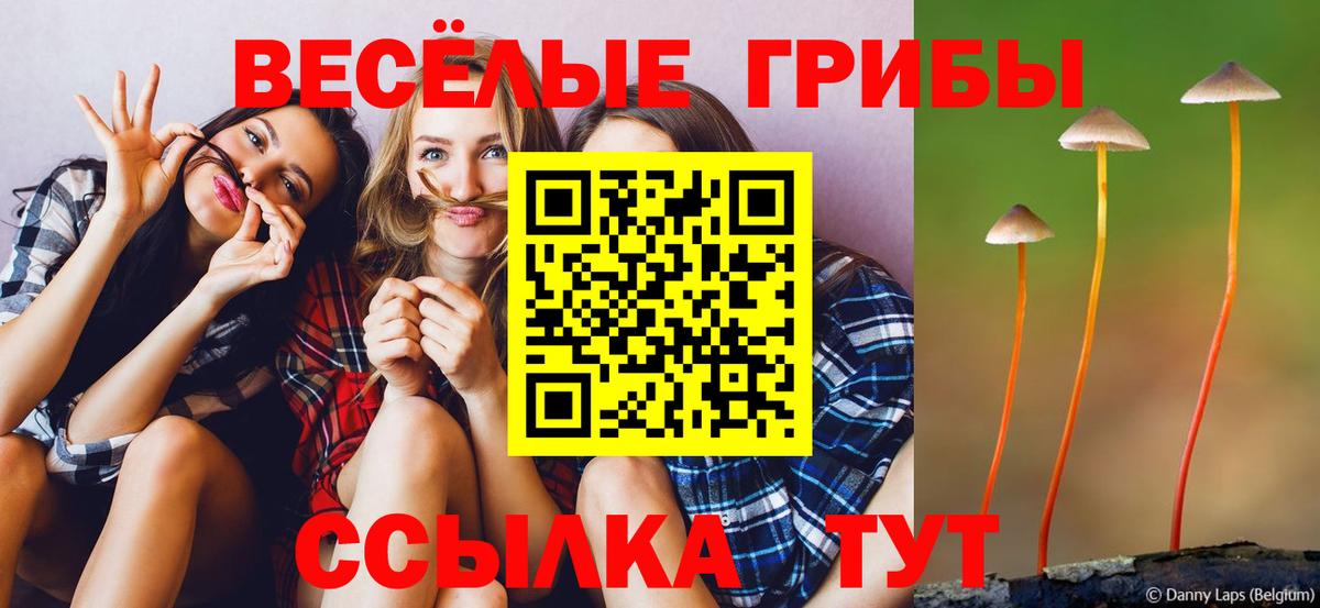 Кыштым  Галлюциногенные грибы ЛСД  Вход с VPN 